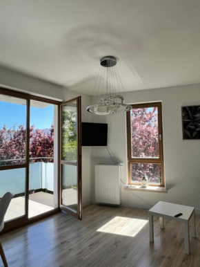 Apartment Wilanow Branickiego